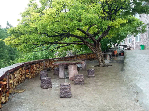 罗姐寨春色