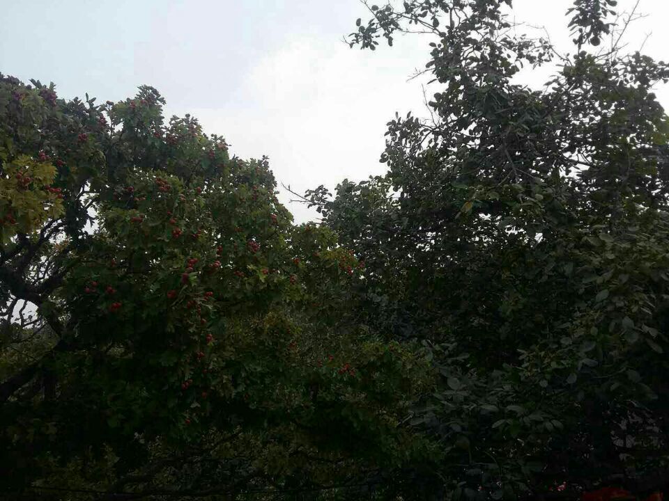 QQ图片20160910103920