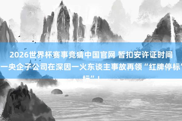 2026世界杯赛事竞猜中国官网 暂扣安许证时间，一央企子公司在深因一火东谈主事故再领“红牌停标”！