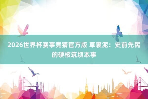 2026世界杯赛事竞猜官方版 草裹泥：史前先民的硬核筑坝本事