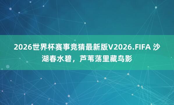 2026世界杯赛事竞猜最新版V2026.FIFA 沙湖春水碧，芦苇荡里藏鸟影