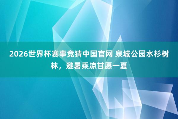 2026世界杯赛事竞猜中国官网 泉城公园水杉树林，避暑乘凉甘愿一夏