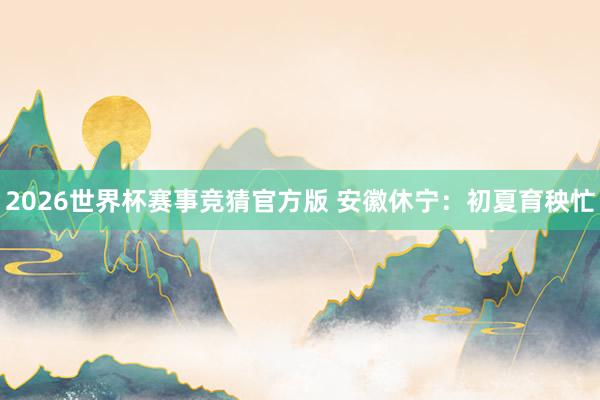 2026世界杯赛事竞猜官方版 安徽休宁：初夏育秧忙