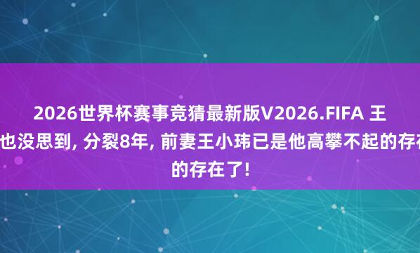 2026世界杯赛事竞猜最新版V2026.FIFA 王小海也没思到， 分裂8年， 前妻王小玮已是他高攀不起的存在了!