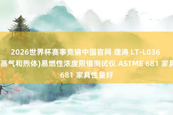 2026世界杯赛事竞猜中国官网 理涛 LT-L036 化合物(蒸气和煦体)易燃性浓度限值测试仪 ASTME 681 家具性量好