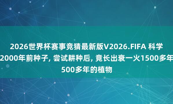 2026世界杯赛事竞猜最新版V2026.FIFA 科学家挖出2000年前种子， 尝试耕种后， 竟长出衰一火1500多年的植物