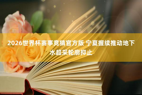 2026世界杯赛事竞猜官方版 宁夏握续推动地下水超采轮廓抑止