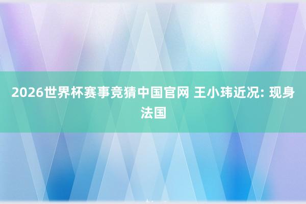 2026世界杯赛事竞猜中国官网 王小玮近况: 现身法国
