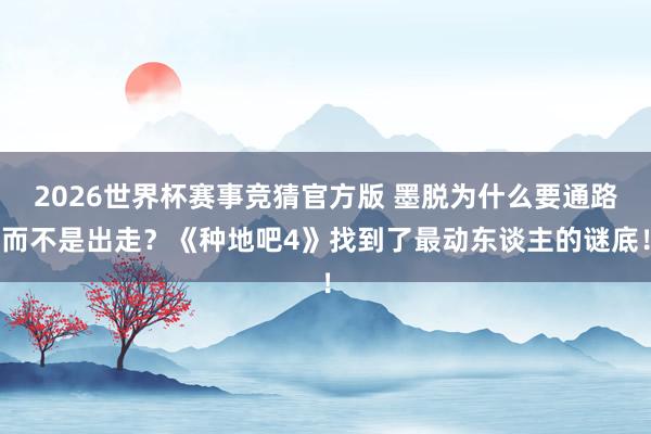 2026世界杯赛事竞猜官方版 墨脱为什么要通路而不是出走？《