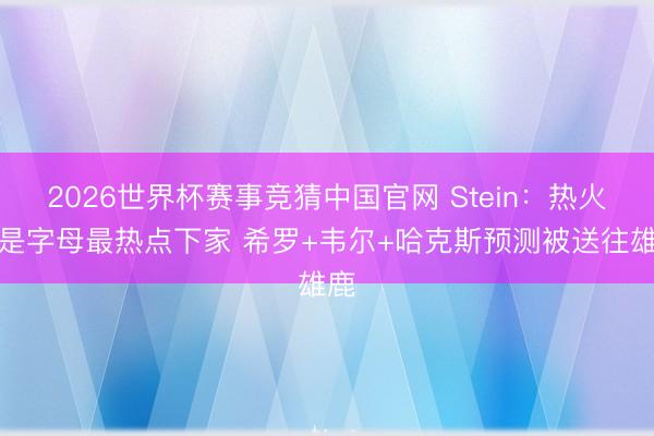 2026世界杯赛事竞猜中国官网 Stein：热火仍是字母最热点下家 希罗+韦尔+哈克斯预测被送往雄鹿